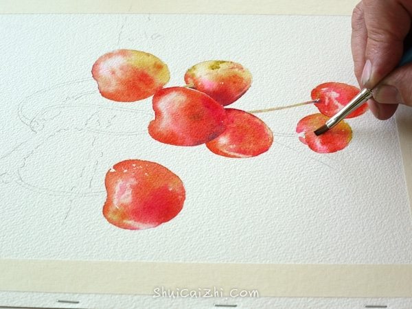 Joel Simon的水彩画樱桃绘画步骤 