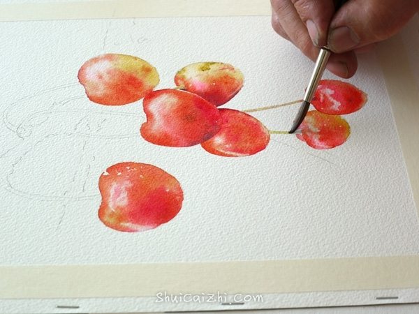 Joel Simon的水彩画樱桃绘画步骤 