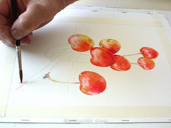 Joel Simon的水彩画樱桃绘画步骤 