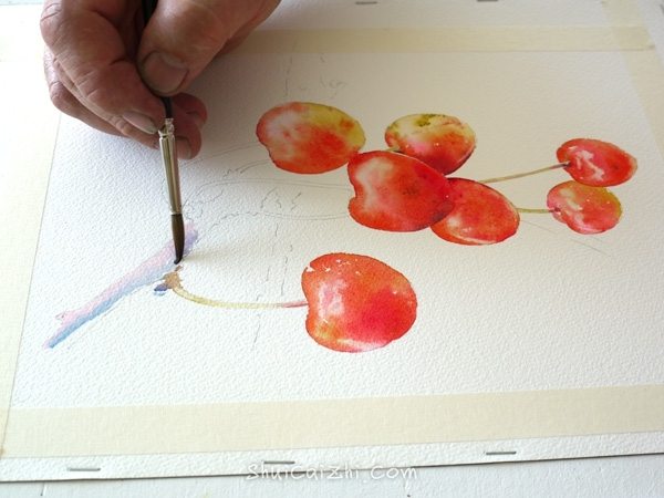 Joel Simon的水彩画樱桃绘画步骤 