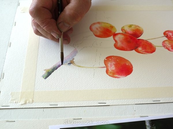 Joel Simon的水彩画樱桃绘画步骤 