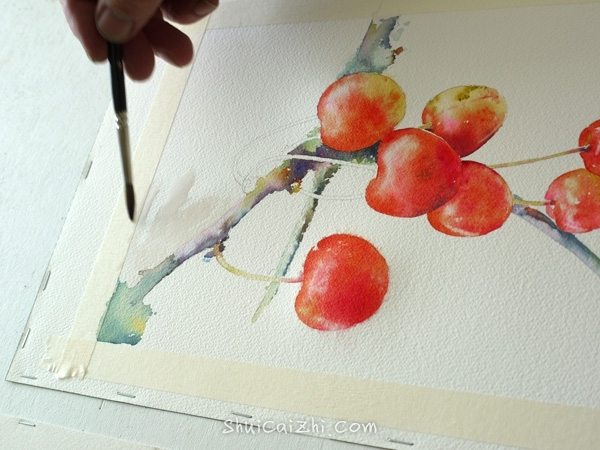 Joel Simon的水彩画樱桃绘画步骤 