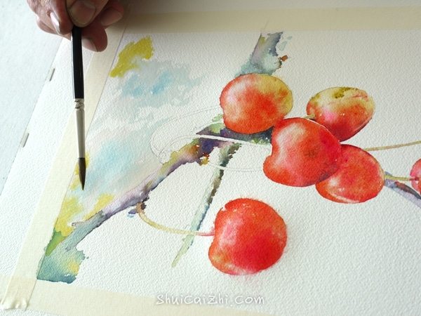 Joel Simon的水彩画樱桃绘画步骤 