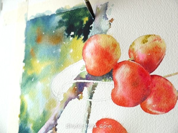 Joel Simon的水彩画樱桃绘画步骤 