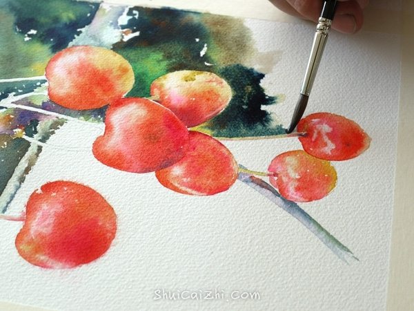Joel Simon的水彩画樱桃绘画步骤 
