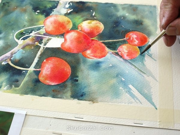 Joel Simon的水彩画樱桃绘画步骤 