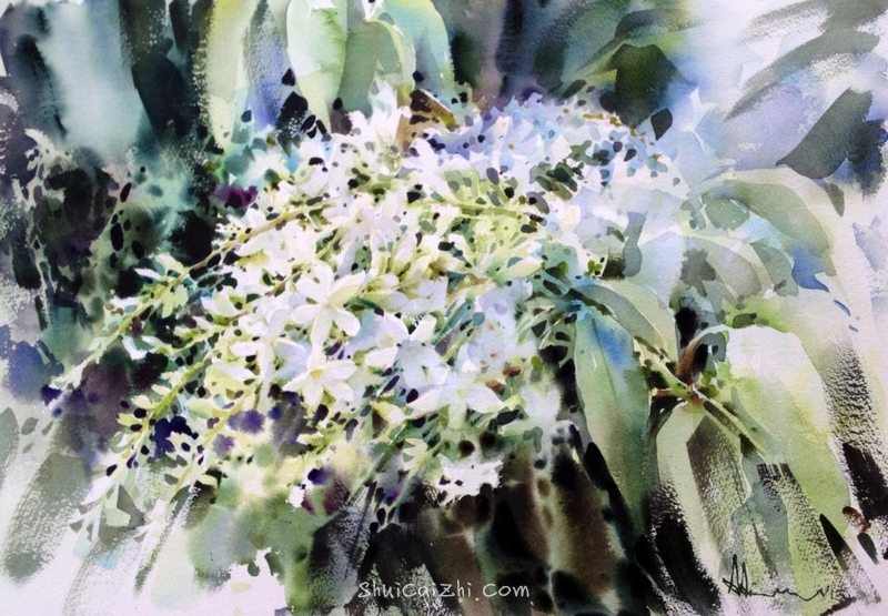 泰国水彩画家Adisorn Pornsirikarn (110)