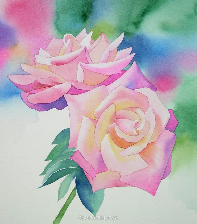 玫瑰月季花卉水彩教程步骤