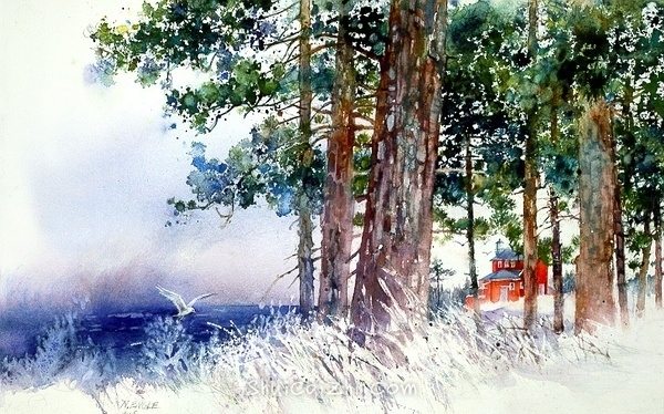 美国画家塔恩格尔水彩风景画作品 (17)