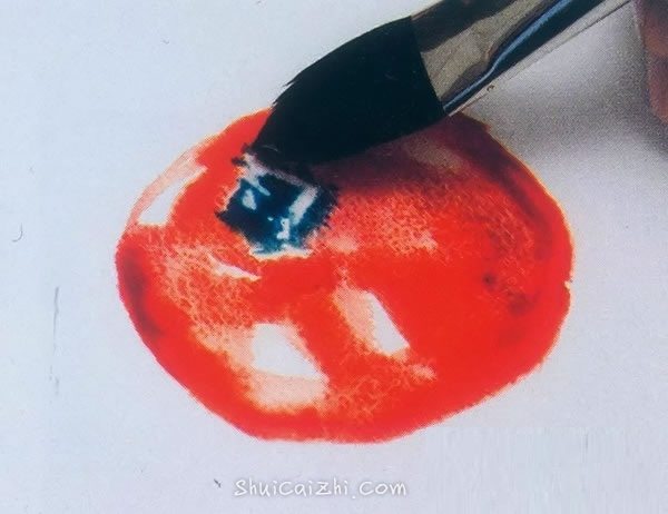  水彩画入门教程：写生西红柿的步骤