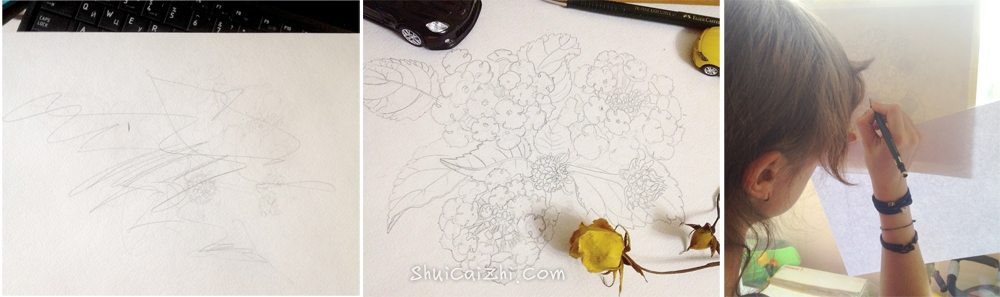 水彩画花卉的简单绘画步骤图示