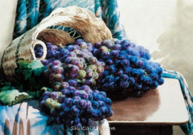 刘文甫静物葡萄水彩绘画作品