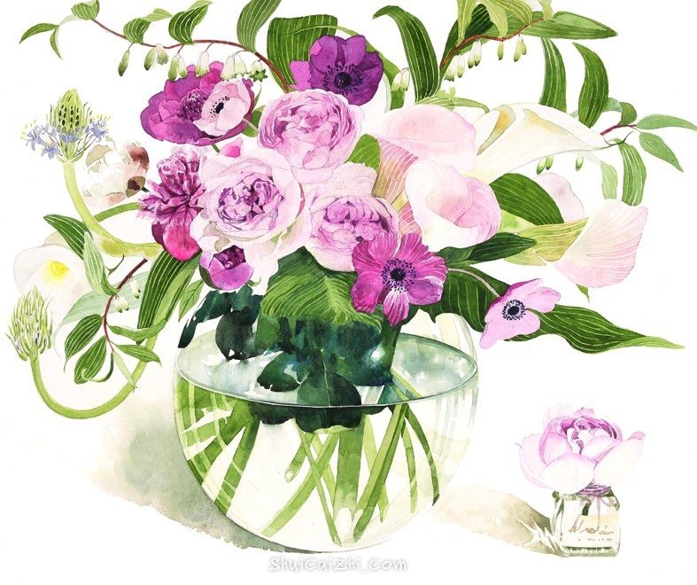 日本柘植彩子Ayako Tsuge的花卉静物水彩画-31