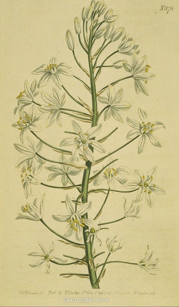 英国皇家植物园杂志图欣赏