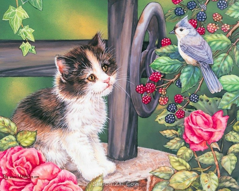 美国插画师Jane Maday笔下的可爱猫咪小动物-1