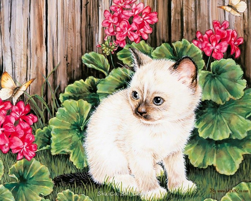 美国插画师Jane Maday笔下的可爱猫咪小动物-3