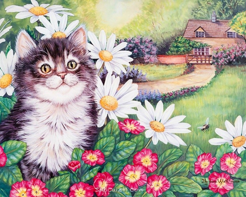 美国插画师Jane Maday笔下的可爱猫咪小动物-4