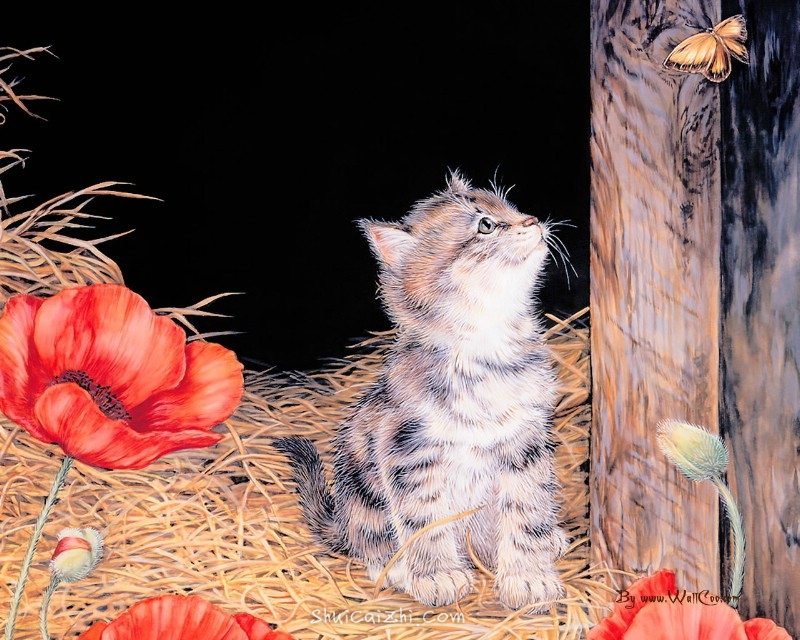 美国插画师Jane Maday笔下的可爱猫咪小动物-5