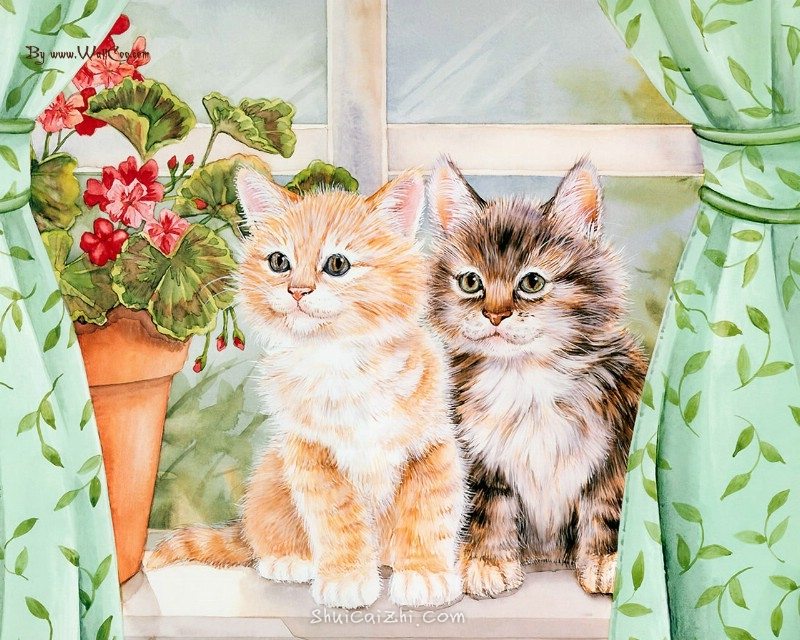 美国插画师Jane Maday笔下的可爱猫咪小动物-6
