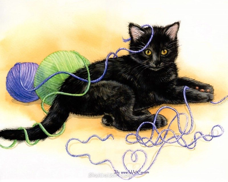 美国插画师Jane Maday笔下的可爱猫咪小动物-7