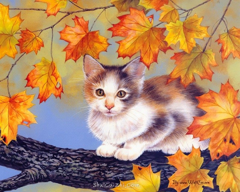 美国插画师Jane Maday笔下的可爱猫咪小动物-8