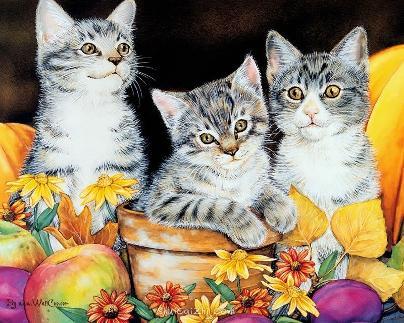 美国插画师Jane Maday笔下的可爱猫咪小动物-11