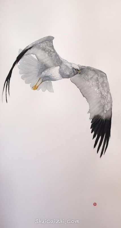 美国画家Karl Martens中西结合水彩画鸟