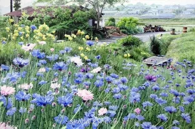 小镇一角 田中己永风景水彩画作品