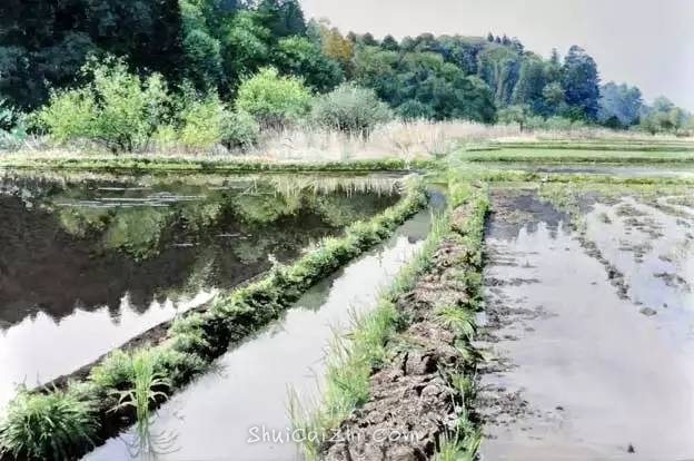 小镇一角 田中己永风景水彩画作品