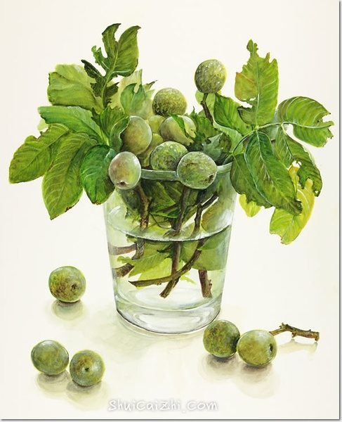 桥本不二子的瓶中插花花卉水彩画