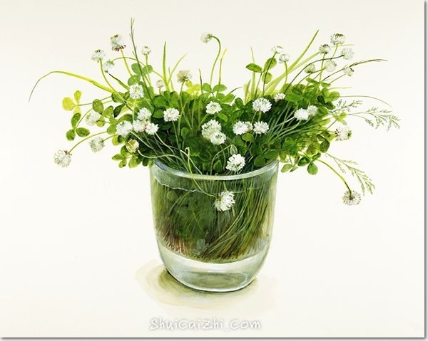 桥本不二子的瓶中插花花卉水彩画