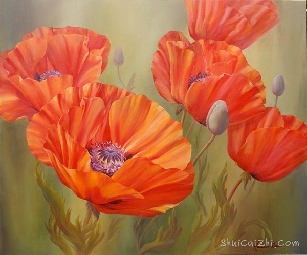 ​玛丽安布鲁姆Marianne Broome水彩花卉作品