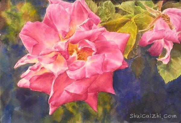 ​玛丽安布鲁姆Marianne Broome水彩花卉作品