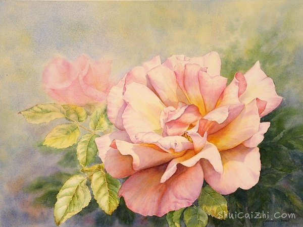 ​玛丽安布鲁姆Marianne Broome水彩花卉作品