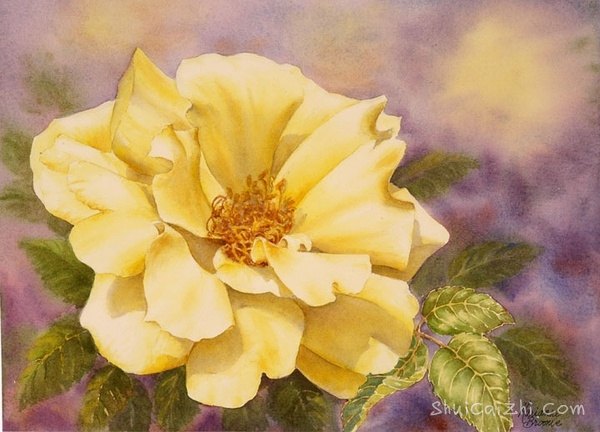 ​玛丽安布鲁姆Marianne Broome水彩花卉作品