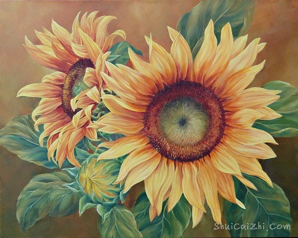 ​玛丽安布鲁姆Marianne Broome水彩花卉作品