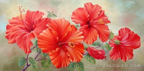 ​玛丽安布鲁姆Marianne Broome水彩花卉作品