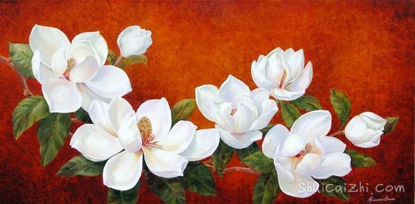 ​玛丽安布鲁姆Marianne Broome水彩花卉作品