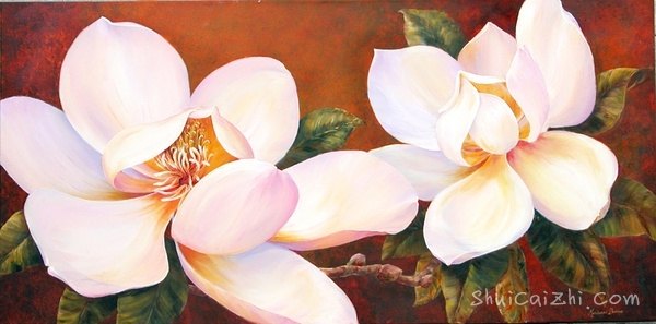 ​玛丽安布鲁姆Marianne Broome水彩花卉作品