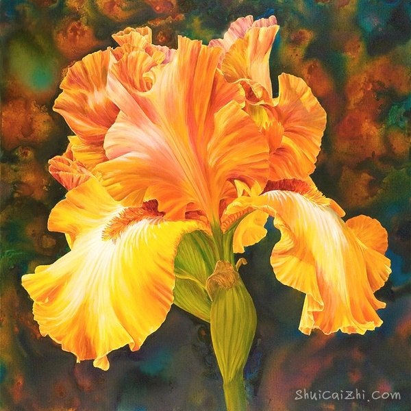 ​玛丽安布鲁姆Marianne Broome水彩花卉作品