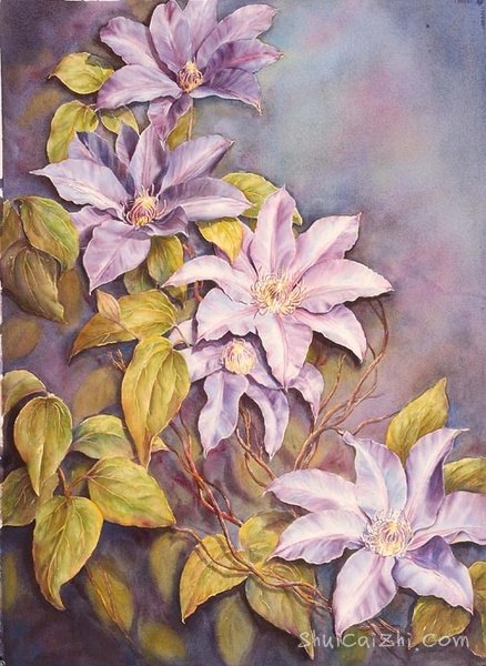 ​玛丽安布鲁姆Marianne Broome水彩花卉作品