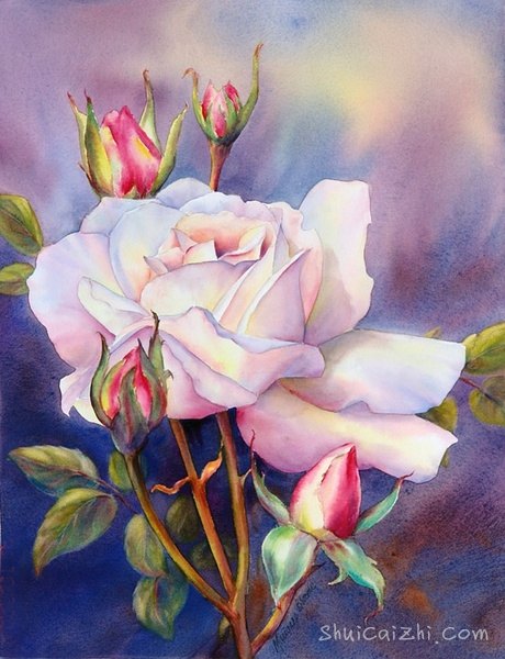 ​玛丽安布鲁姆Marianne Broome水彩花卉作品