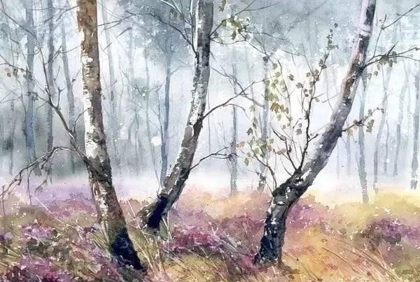 波兰画家Malgorzata Szczecinska森林自然水彩绘