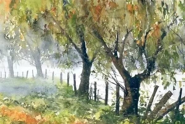 波兰画家Malgorzata Szczecinska森林自然水彩绘