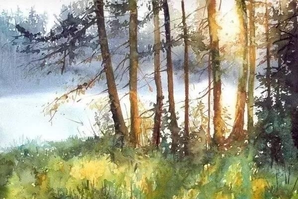 波兰画家Malgorzata Szczecinska森林自然水彩绘