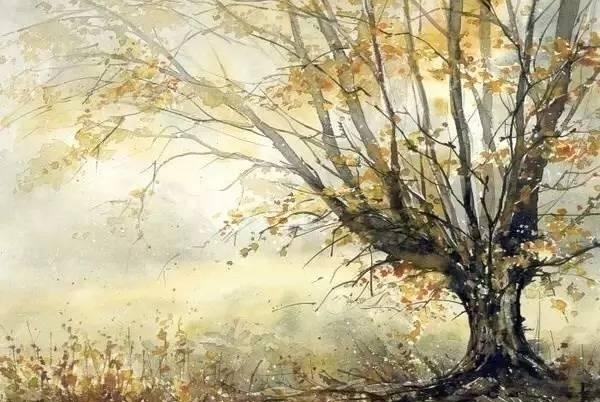 波兰画家Malgorzata Szczecinska森林自然水彩绘