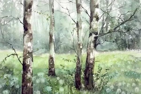 波兰画家Malgorzata Szczecinska森林自然水彩绘