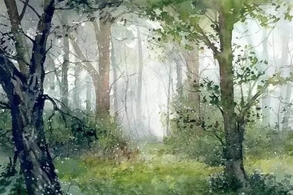 波兰画家Malgorzata Szczecinska森林自然水彩绘