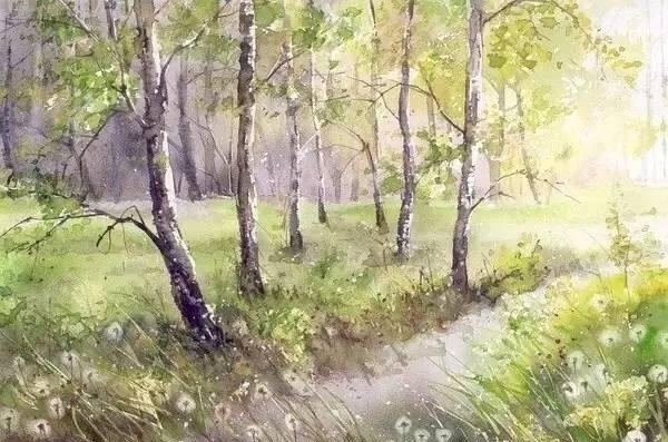 波兰画家Malgorzata Szczecinska森林自然水彩绘