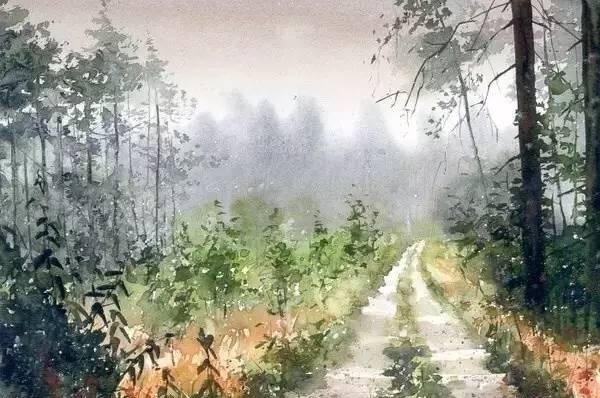 波兰画家Malgorzata Szczecinska森林自然水彩绘